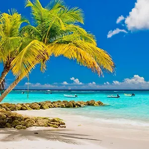 6-sandy-surf-worthing-christ-church.comcaribbean.com/
